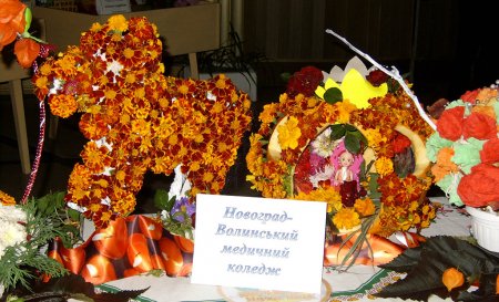 конкурс "Моє квітуче місто"