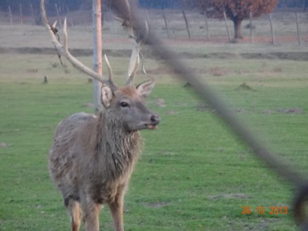 Ексурсія по Закарпаттю Ексурсія по Закарпаттю
