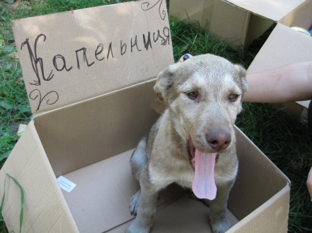 Волонтери-медики діють