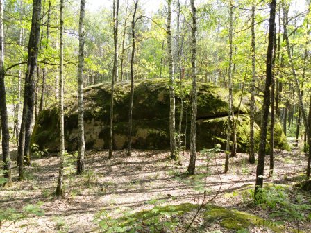 Зустріч представників навчальних закладів ННВК «Полісся» Зустріч представників навчальних закладів ННВК «Полісся»