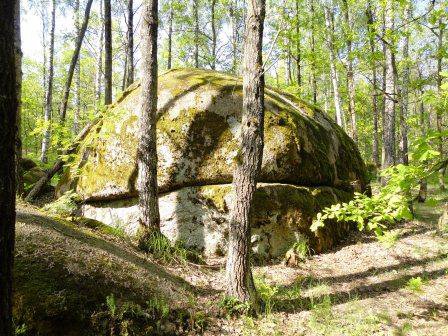 Зустріч представників навчальних закладів ННВК «Полісся» Зустріч представників навчальних закладів ННВК «Полісся»