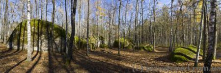 Зустріч представників навчальних закладів ННВК «Полісся»