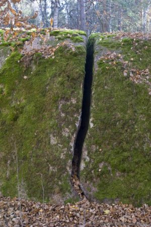 Зустріч представників навчальних закладів ННВК «Полісся»