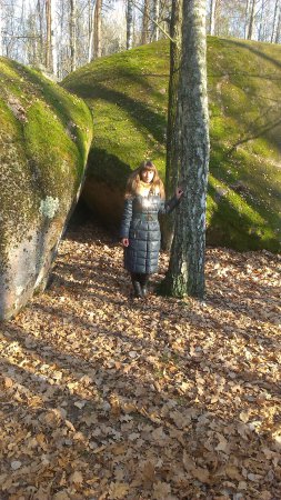 Зустріч представників навчальних закладів ННВК «Полісся»