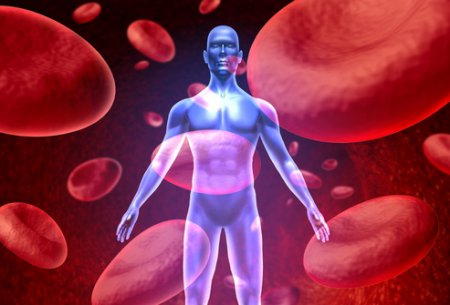 17 квітня 2015 року - Всесвітній день хворих на гемофілію.