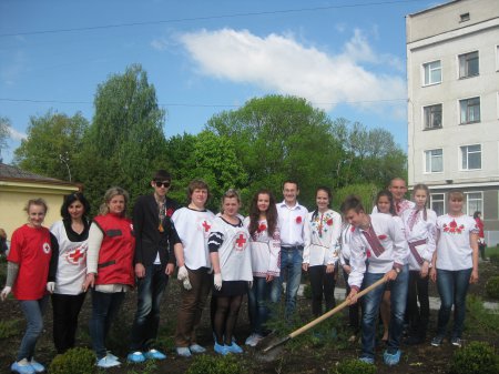 У Новограді-Волинському студенти-медики висадили 70 кущів троянд