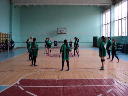 Міські змагання з волейболу