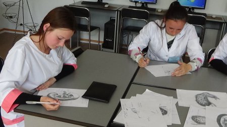 Результати олімпіади  з  предмету  «Анатомія людини» серед студентів ІІ курсу